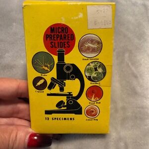 Vintage Prepared Microscope Slides Set 12 Marine Algae BiologyX Specimens Japan‎